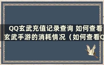 QQ玄武充值记录查询 如何查看玄武手游的消耗情况（如何查看QQ玄武手游的充值记录）